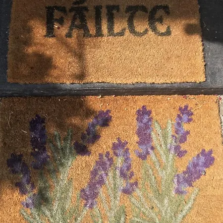 Oda ve Kahvaltı The White House