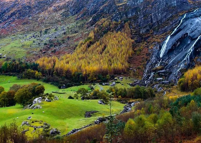 The White House Alojamento de Acomodação e Pequeno-almoço *